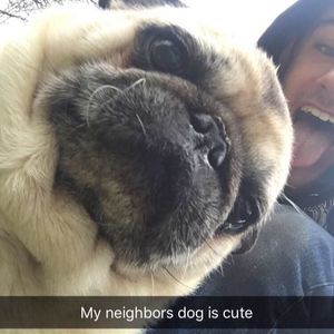 Meet your Posher, Robert